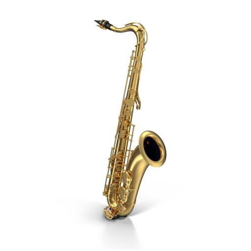 Saxo Blasinstrumente